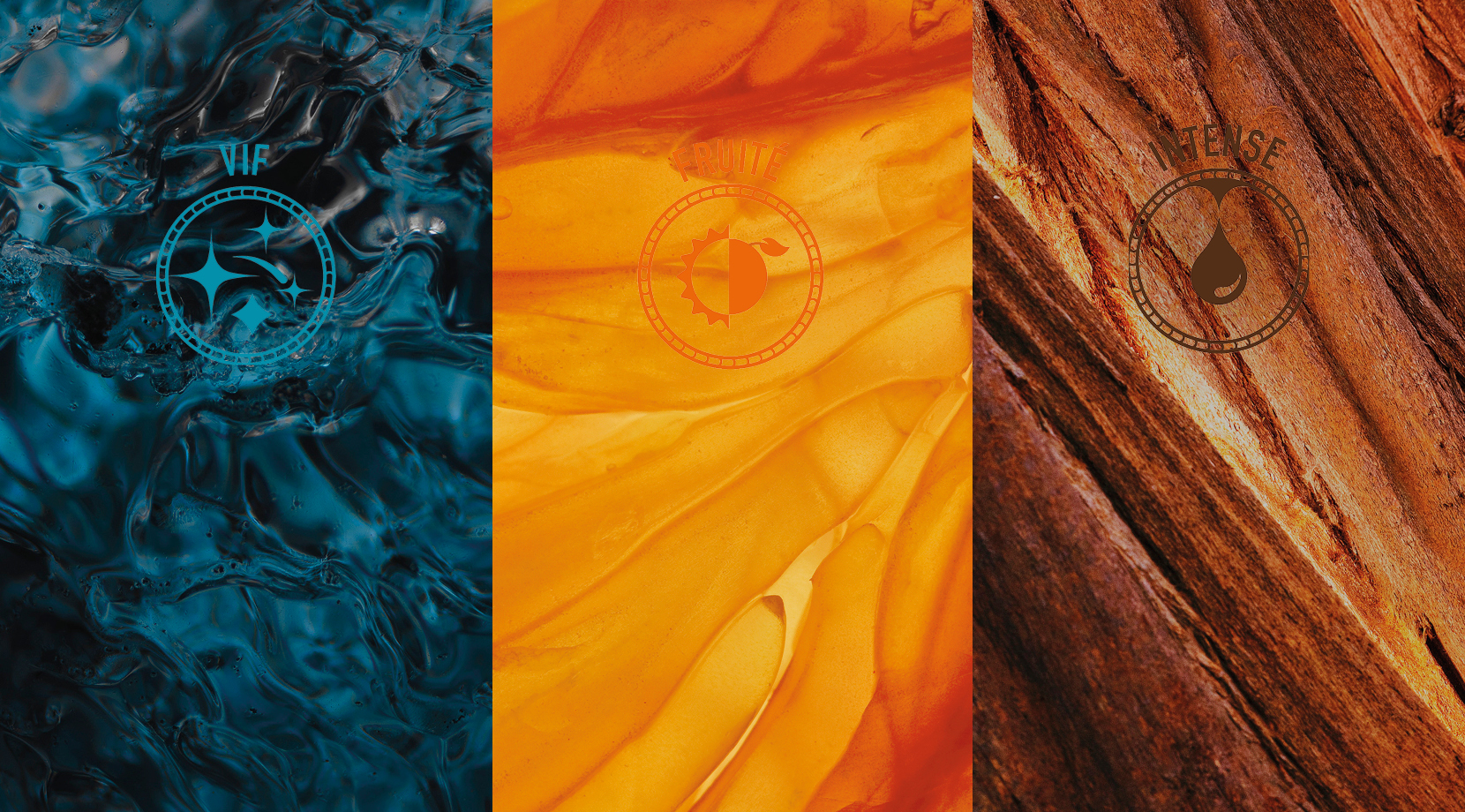 Découvrez les Caractères, la classification des Champagnes de Vignerons